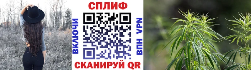 Купить  Пущино  Бошки марихуана гибрид 